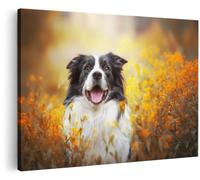 Artaza Tableau Décoration Murale Chien Border Collie - 120x80 cm - Grand - Deco Murale Fleurs - Peinture Animaux - Impression Sur Toile Automne