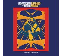 Artchipel Orchestra & Jonathan Coe - Suspended Moment