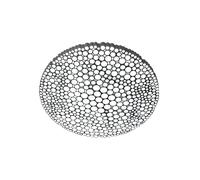 Artemide Applique / Plafonnier LED Calipso – 2700K – Compatible Artemide APP – Blanc