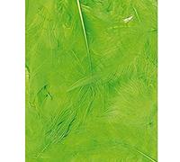 Artemio – Plumes ébouriffées 8–12 cm – Sachet 3 g – Vert