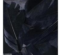 Artemio Plumes 3 G Lisse – Noir