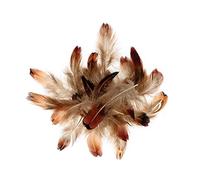 Artemio 3 g Plumes Faisan 3-5 cm