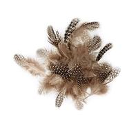 Artemio 3 g Plumes Pintade 3-6 cm