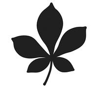 Artemio Dies Feuille de Marronnier