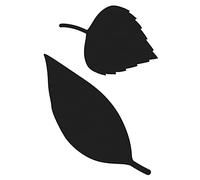 Artemio Dies Feuilles