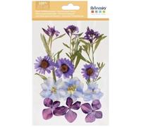Artemio Fleurs séchées et pressées - Mauves - 12 pcs
