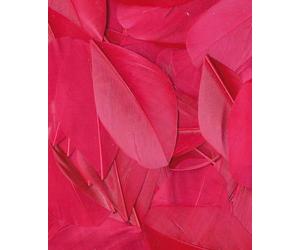 Artemio Plume Ronde, Autre, Rose, 11,5 x 0,5 x 19,5 cm 13030029