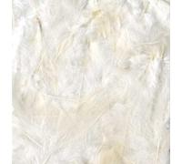 Artemio Plumes Ebouriffées, Autre, Blanc, 11,5 x 1 x 31 cm 13030045