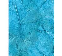 Artemio Plumes ébouriffées Turquoise 3 g Lg 8 à 12 cm