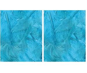 Artemio Plumes Turquoise 3 g Ébouriffées LG 8 à 12 cm (Lot de 2)