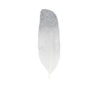 Artemio Set de 6 Plumes Décoratives, Autre, Argent, 10 x 0,4 x 17 cm 13030112