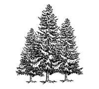 Artemio Tampon bois Trois Sapins 58x70 mm,