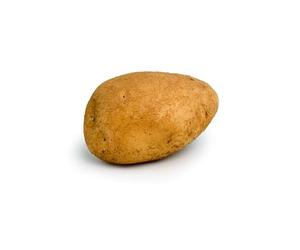 Artemis 100 Plants de pomme de terre