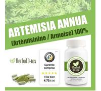 Artemisia Annua L (Artémisinine / Armoise) 100% - 100 X 500mg
