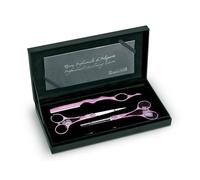 Artero Set 3 Ciseaux Symet. Rose 5.5