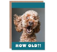 Artery8 Birthday Card Surprised Cockapoo Dog Photo How Old Funny Joke Cheeky Animal For Him Her Man Woman Girl Boy Wife Husband Greeting Card