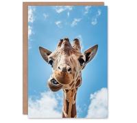 Artery8 Carol M Highsmith Art Card Funny Up Close Look At A Giraffe