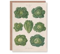 Artery8 Ernst Benary Art Card Savoy Cabbages Vintage Botanical