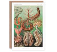 Artery8 Ernst Haeckel Art Card Chaetopoda Annelid Marine Worms