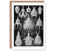 Artery8 Ernst Haeckel Art Card Crytoidea Marine Microorganisms