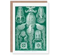 Artery8 Ernst Haeckel Art Card Cubomedusae Jellyfish Species