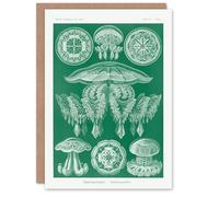Artery8 Ernst Haeckel Art Card Discomedusae Jellyfish Species