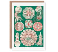 Artery8 Ernst Haeckel Art Card Green Pink Vintage Jellyfish Illustration