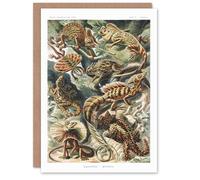 Artery8 Ernst Haeckel Art Card Lacertilia Reptile Lizard Species
