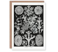 Artery8 Ernst Haeckel Art Card Lichen Species Vintage Illustration