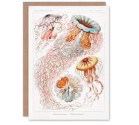 Artery8 Ernst Haeckel Art Card Lions Mane Jellyfish Illustration