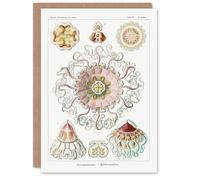 Artery8 Ernst Haeckel Art Card Peromedusae Jellyfish Vintage Illustration