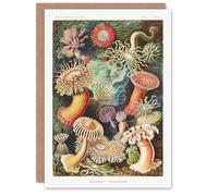 Artery8 Ernst Haeckel Art Card Sea Anemone Marine Landscape