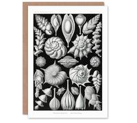 Artery8 Ernst Haeckel Art Card Thalamophora Forams Shells