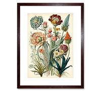 Artery8 Ernst Haeckel Inspired Vintage Botanical Plant Study Modern Watercolour Painting Illustration Artwork Framed Wall Art Print 9X7 Inch
