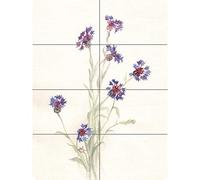 Artery8 Flower Cornflowers Watercolour XL Giant Panel Poster (8 Sections) Fleur Aquarelle Affiche