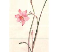 Artery8 Flower Zephyranthes Watercolour XL Giant Panel Poster (8 Sections) Fleur Aquarelle Affiche