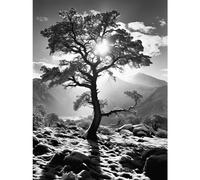 Artery8 Frozen Tree Outline in Mountain Forest Landscape Covered in Snow Black and White Photograph Winter Sunshine Large Wall Art Poster Print Thick Paper 18X24 Inch
