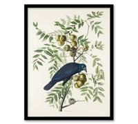 Artery8 John James Audubon American Crow on Walnut Tree Framed Wall Art Print Home Décor A3