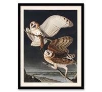 Artery8 John James Audubon Birds of America Barn Owl Framed Wall Art Print Home Décor A3