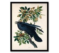 Artery8 John James Audubon Birds of America Raven Framed Wall Art Print Home Décor A3