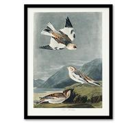 Artery8 John James Audubon Birds of America Snow Bunting Framed Wall Art Print Home Décor A4