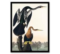 Artery8 John James Audubon Black Bellied Darter Bird Framed Wall Art Print Home Décor A4