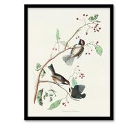 Artery8 John James Audubon Canadian Titmouse Bird Framed Wall Art Print Home Décor A3