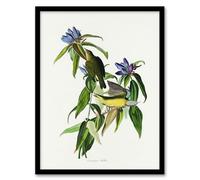 Artery8 John James Audubon Connecticut Warbler Bird Framed Wall Art Print Home Décor A4