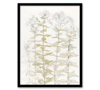 Artery8 Julie de Graag Phlox Colour Sketch of Flowers Framed Wall Art Print Home Décor A4