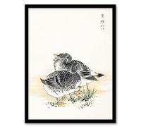 Artery8 Kashu Black Brant Geese Pictorial Monograph Of Birds Framed Wall Art Print Home Décor A4