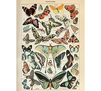 Artery8 Millot Encyclopedia Page Variety Butterflies Extra Large XL Wall Art Poster Print mur Impression d'affiches