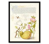 Artery8 Model Book of Calligraphy Beetle Flowers and Gourd Framed Wall Art Print Home Décor A3