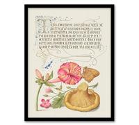 Artery8 Model Book of Calligraphy Flowers Mushroom and Butterfly Framed Wall Art Print Home Décor A3