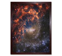 Artery8 NASA Hubble James Webb Telescope View of Spiral Galaxy NGC 2835 Living Room Art Print Framed Poster Wall Decor 12x16 inch
